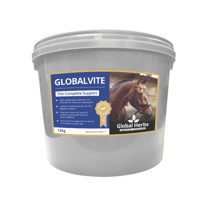 GlobalVite - Globale Kräuter