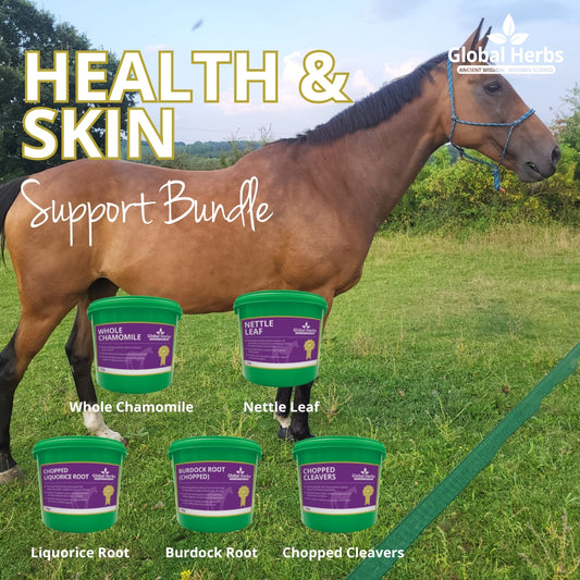 Health & Skin Support Bundle