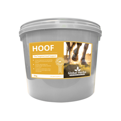 Sabot – Herbes mondiales