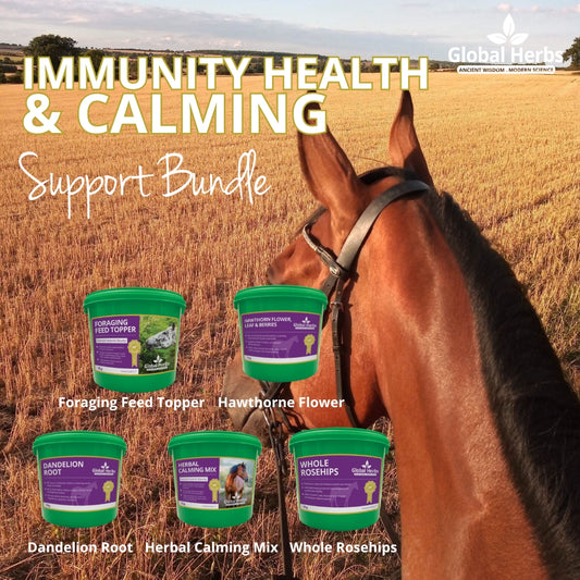 Immunity Health & Calming Bundle