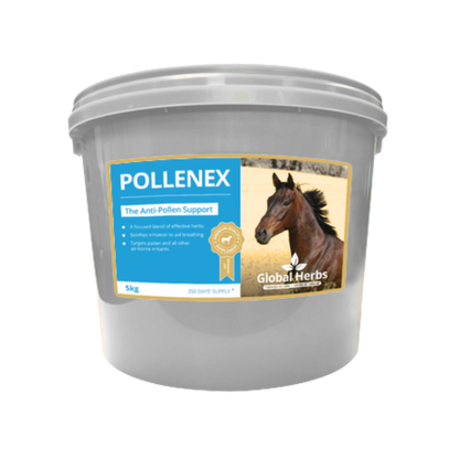 Pollenex - Global Herbs Global Herbs