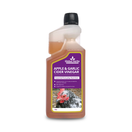 Apple Garlic Cider Vinegar - For Chickens