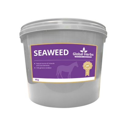 Seaweed - Global Herbs
