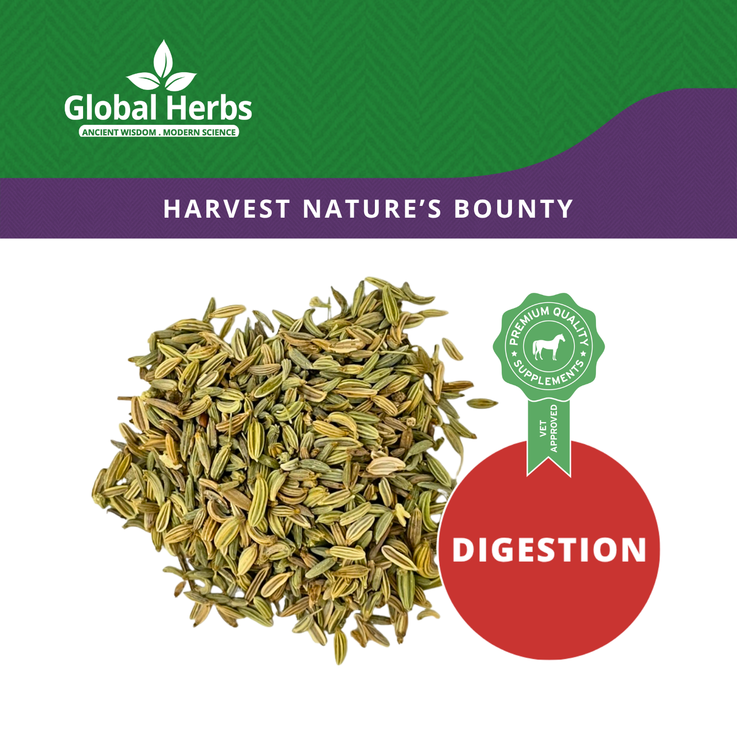 Fennel Seeds  - Global Herbs Global Herbs