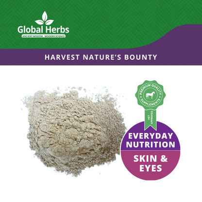 Garlic Powder 1kg - Global Herbs Global Herbs