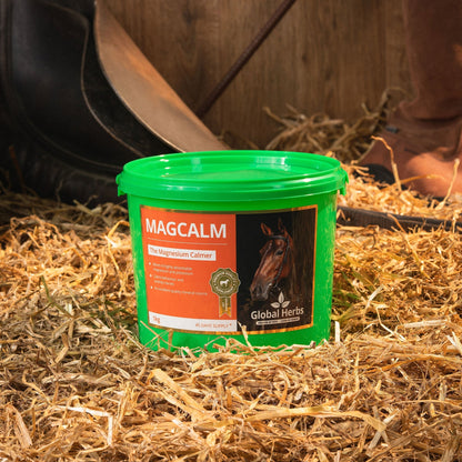 Magcalm - Global Herbs Global Herbs