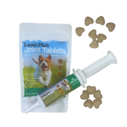 Leap Plus Joint Tablets (60) - Global Herbs  - Canine