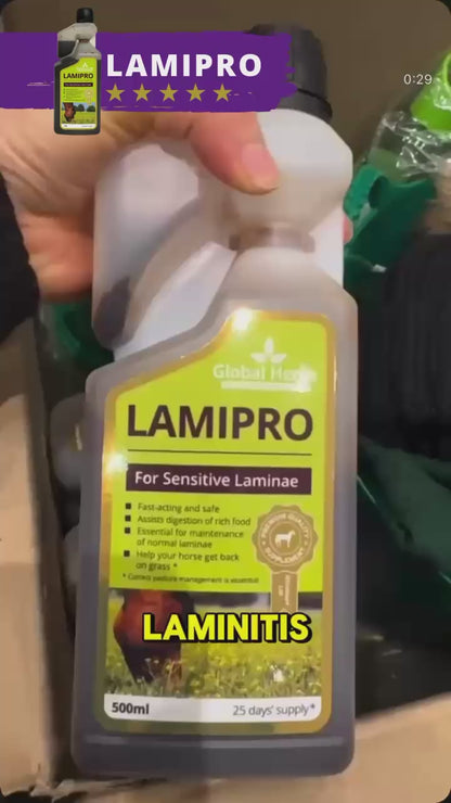LamiPro liquid - Equine