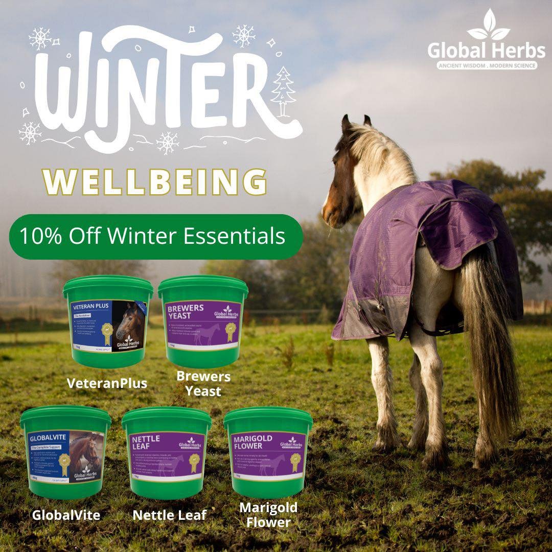 Winter Wellbeing Bundle